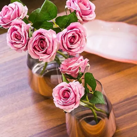 Paul Seafront House 別荘 *