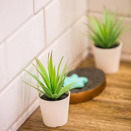 Paul Seafront House 別荘