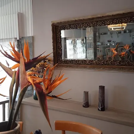 Paul Seafront House 別荘 *