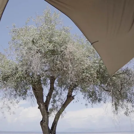 Paul Seafront House * Mesongí