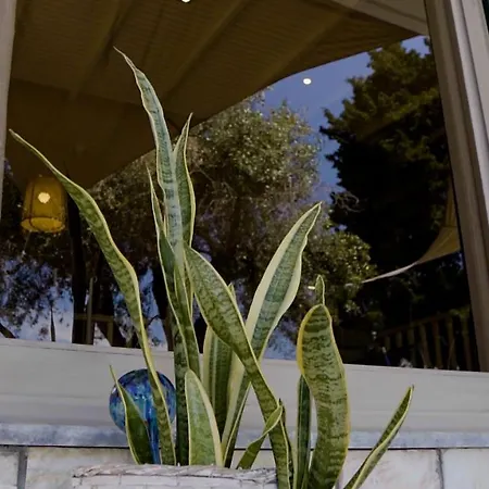 Paul Seafront House * מסונגי